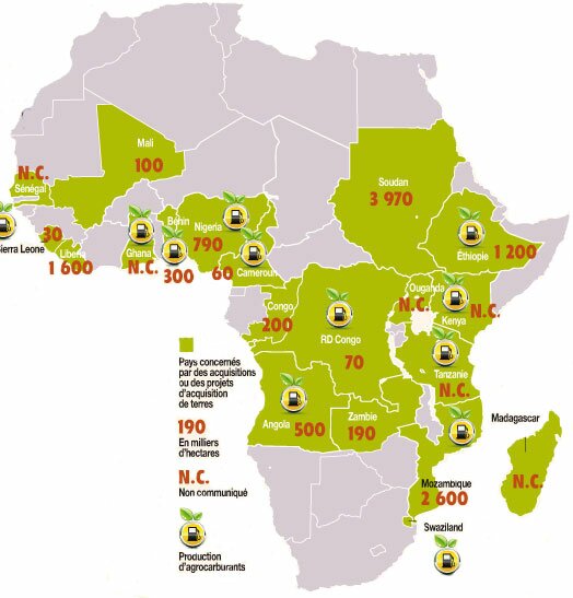 Surfaces agricoles afrique _ L'Economiste